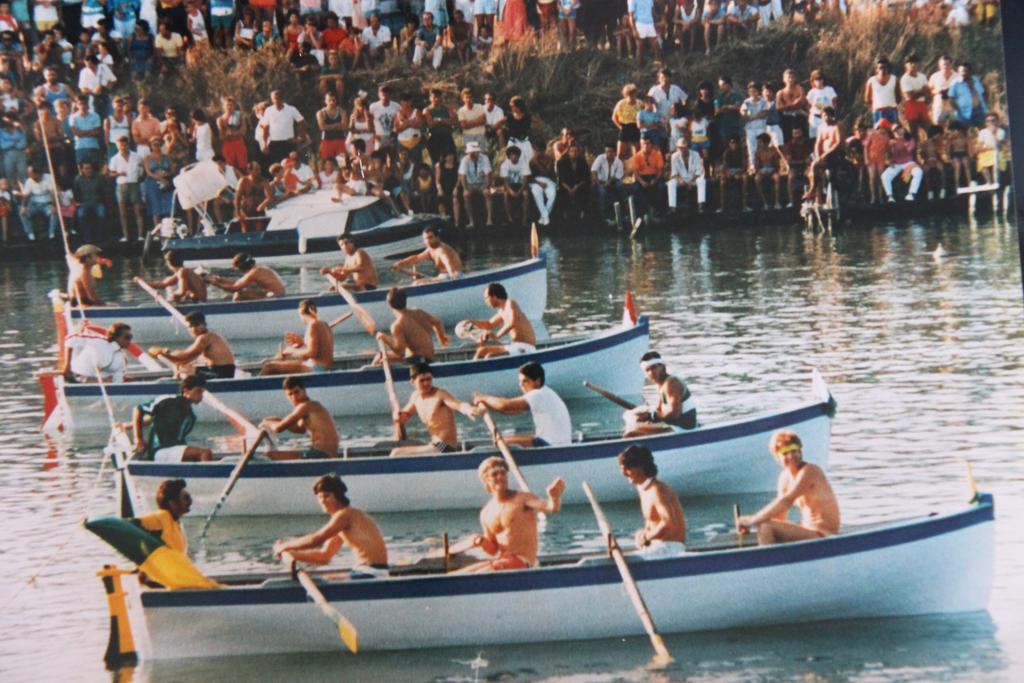 Cav Brunella Castiglione della Pescaia Oda fotoğraf