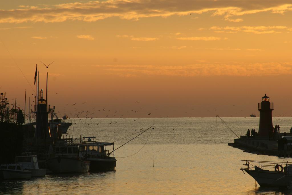 Cav Brunella Castiglione della Pescaia Oda fotoğraf