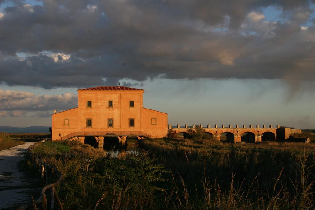 Cav Brunella Castiglione della Pescaia Oda fotoğraf